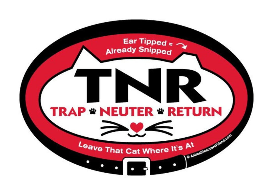 Tnr Free Feral Cat Spay Near Me Feral Cats Affordable Spay And