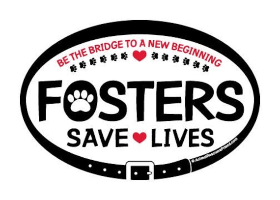 MAGNET - Fosters Save Lives - 4x6" Oval Car Magnet - Pet Dog Cat Lover Gift - Adopt a dog cat - Donates to Animal Rescue