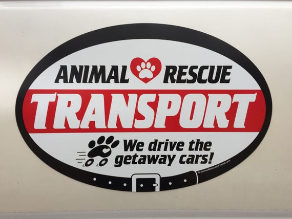 Animal rescue car magnets decals Clearance