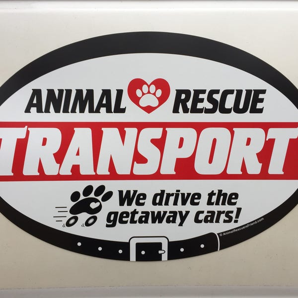 VEHICLE SIGN - Animal Rescue Transport - We drive the getaway cars - 17”x11.5” Oval - Transporter Car Magnet Sign - dog rescue cat