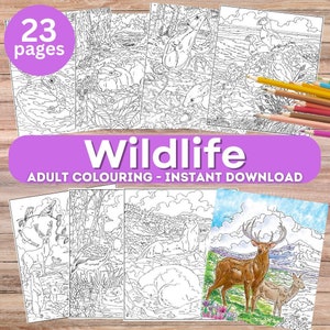 Wildlife Animal Coloring Pages for Adults: 23 Printable Designs (PDF)
