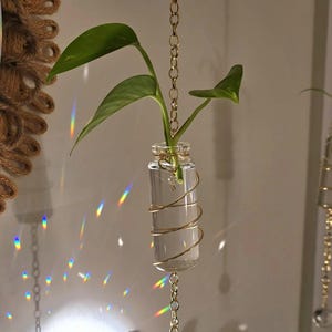 Plant propagation station, Suncatcher, Mother&#39;s Day gift, Plant holder, Crystal Suncatcher