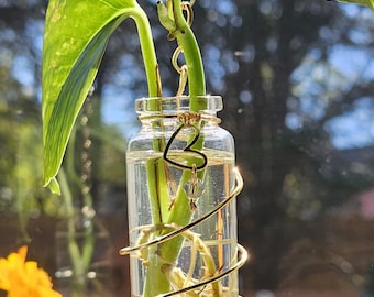 Plant Propagation Station Crystal Suncatcher, Sun catcher window decor with Rose Quartz