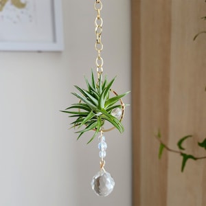 Crystal Air Plant Suncatcher: Handmade Boho Home Decor