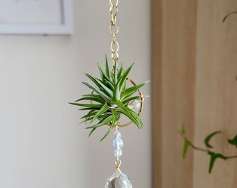 Air Plant Holder Crystal Suncatcher, Boho Hanging display for Air Plants, Rainbow Maker