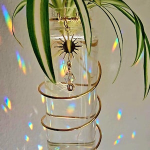Estación colgante para propagación de plantas con atrapasoles de cristal, decoración de pared estilo boho para esquejes de pothos.