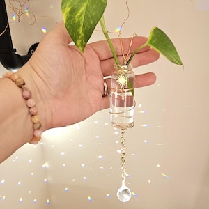 Sidecar Plant Propagation Station with Crystal Suncatcher – Handmade Boho Decor for Pots & Hanging Planters