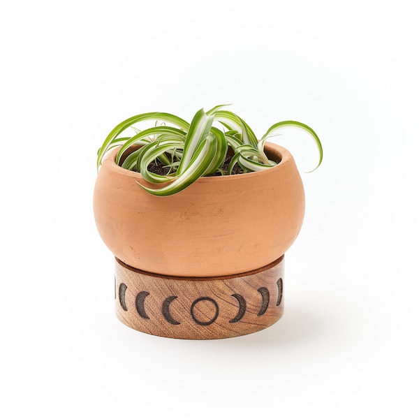 Terracotta Planter, Succulents Planter, Celestial Plant Pot, Moon Phase Pot, Planter Pot With Drainage, Clay Pot, Pot With Wooden Stand