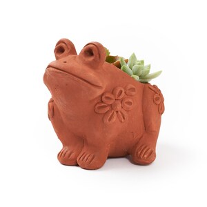 Fun Terracotta Planter Pot, Ceramic Frog Planter, Garden Decoration and Supplies, Cute Planter Pot, Outdoor Decor, Birthday Gift for Him