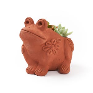 May include: A terracotta-colored frog-shaped planter featuring embossed flower patterns on its sides and back. The hollow interior of the frog contains a small green succulent plant with thick, fleshy leaves visible from the top opening.