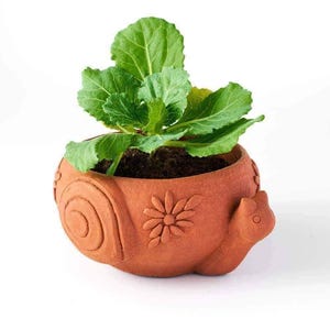 May include: A terracotta-colored planter shaped like a snail with a textured spiral shell and a small flower relief on the side. The planter contains a small green leafy plant growing in dark soil, set against a plain white background.