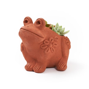 May include: A terracotta frog-shaped planter with a succulent plant. The planter has embossed floral designs on its sides and is a reddish-brown color. The frog is in a seated position with its eyes looking upwards. The succulent is a light green color.