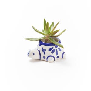 May include: A small, white ceramic turtle planter with blue floral designs and a blue rim, holding a green succulent plant. The turtle has a smiling face and small feet. The planter is a decorative item for small plants.
