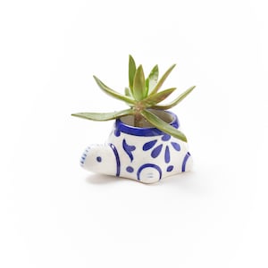May include: A small, white ceramic planter shaped like a turtle with hand-painted blue floral and geometric patterns. The turtle-shaped vessel features a hollow opening on its back containing a green succulent plant with pointed, fleshy leaves.