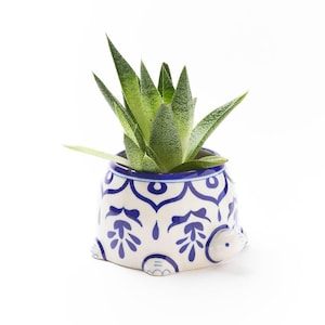 Small Turtle Planter, Pot With Drainage, Animal Planter, Cute Succulent Pot, Unique Garden Decor, Handcrafted Ceramics, Handmade Pottery