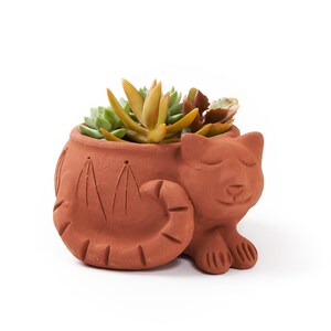 Terracotta Planter Pot, Planters With Drainage, Garden Gifts For Women, Floral Planter Pot, Cat Planter Pot, Garden Decoration and Supplies