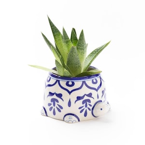 May include: A ceramic turtle-shaped planter featuring a white base with intricate blue floral patterns. The planter contains a green succulent plant with pointed, speckled leaves. The turtle design includes a small head and feet at the base.
