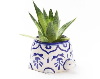 May include: A ceramic turtle-shaped planter featuring a white base with intricate blue floral patterns. The planter contains a green succulent plant with pointed, speckled leaves. The turtle design includes a small head and feet at the base.