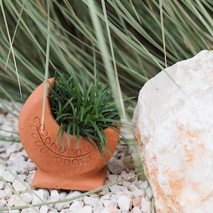Terracotta Pot, Moon Planter Pot, Clay Pots, Planter With Drainage, Boho Planters, Cute Plant Pot, Rustic Planter, Succulent Planter