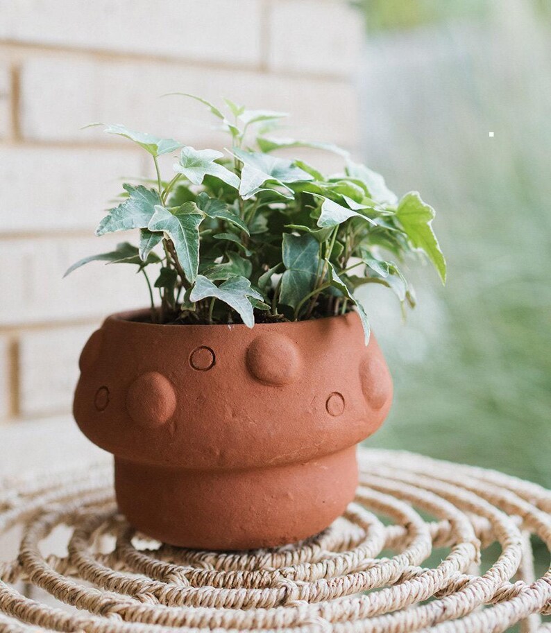 Mushroom Planter, Fun Terracotta Pot, Moon Planter Pot, Clay Pots, Planter With Drainage, Cute Plant Pot, Rustic Planter,Cottagecore Planter image 2