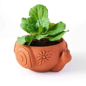 Puede incluir: Una maceta de terracota con forma de caracol con una planta de hojas verdes. La maceta tiene un diseño en espiral y un motivo floral. La cabeza del caracol es visible en el lado derecho.