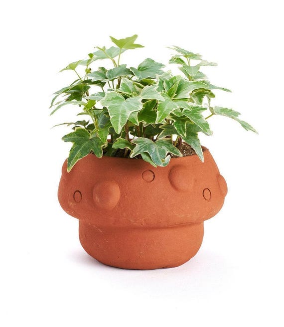 Mushroom Planter, Fun Terracotta Pot, Moon Planter Pot, Clay Pots, Planter With Drainage, Cute Plant Pot, Rustic Planter,Cottagecore Planter
