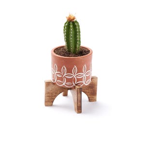 Ceramic Plant Pot, Teracotta Planter, Small Succulent Planter, Mini Planter With Drainage, Unique Plant Pot, Handmade Planter, Mom Gift