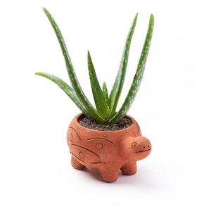 Handmade Terracotta Turtle Planter with Drainage~ Blue Pottery Jaipur Artisan Design ~ Terracotta Pot in Turtle Shape ~ Turtle Gift for Her
