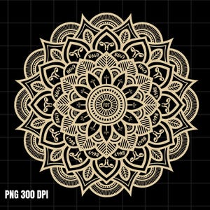 Subtle Anti Fascist FDT Mandala Political png, Comfort Colors 8647 Fuck Trump Fascism Shirt, Pro Choice TShirt, Feminist Gift, 4th of July