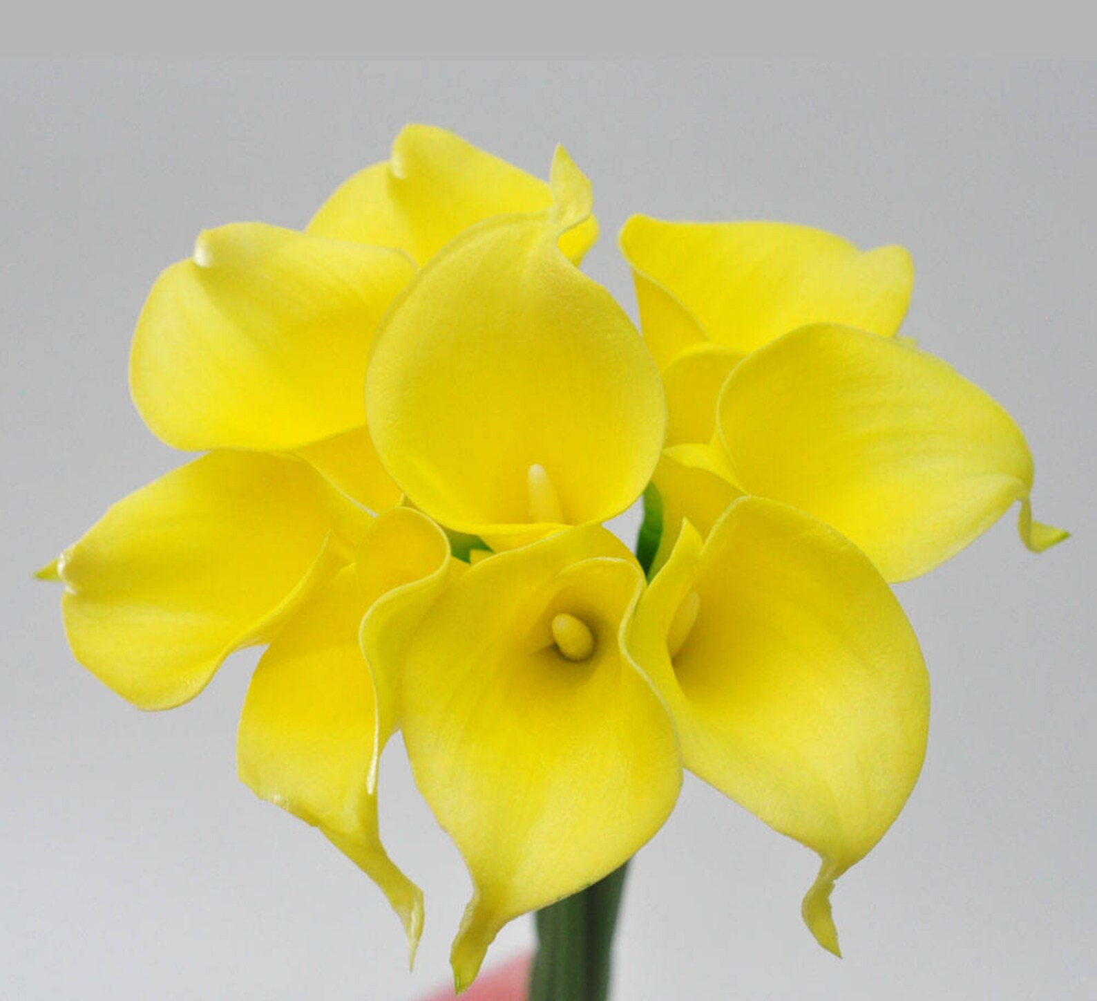 Natural Real Touch Yellow Calla Lilies for Wedding Bridal Etsy