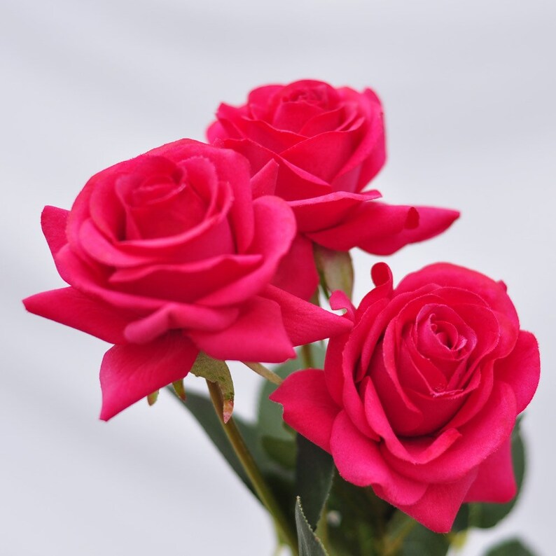 1 Stems Real Touch Rosered Rose Artificial Single Spray Silk Etsy