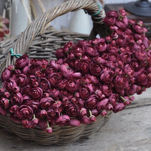 Burgundy Dark Wine red One Bundle Artificial Silk rose Mini Ranunculus Artificial 6 Stems Silk Ranunculus Buds for wedding home decor