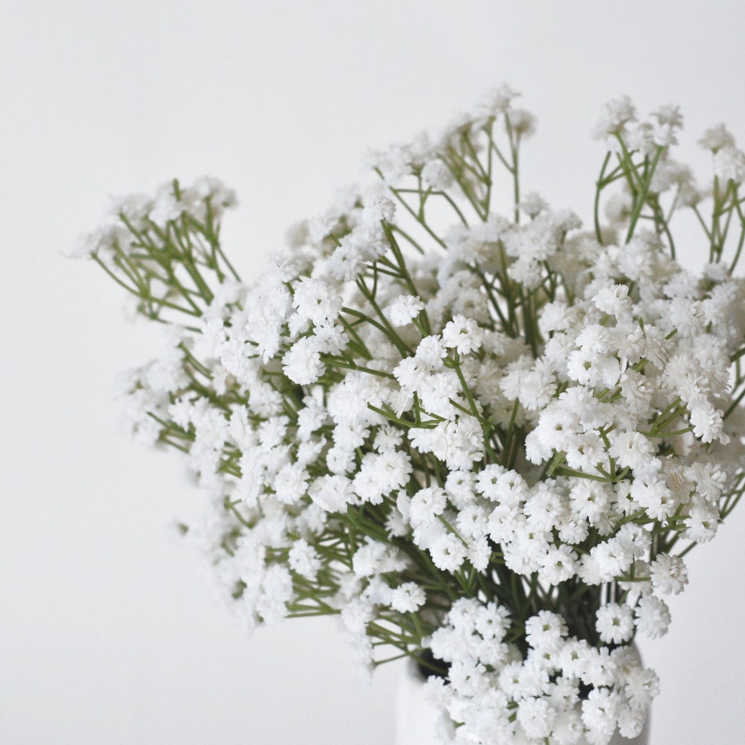 10 Pack Baby's Breath Artificial Flowers Bulk 3 Branches Faux Baby Breath  Plastic Flowers Fake Gypsophila Flower Arrangement for Crafts Fake Flowers