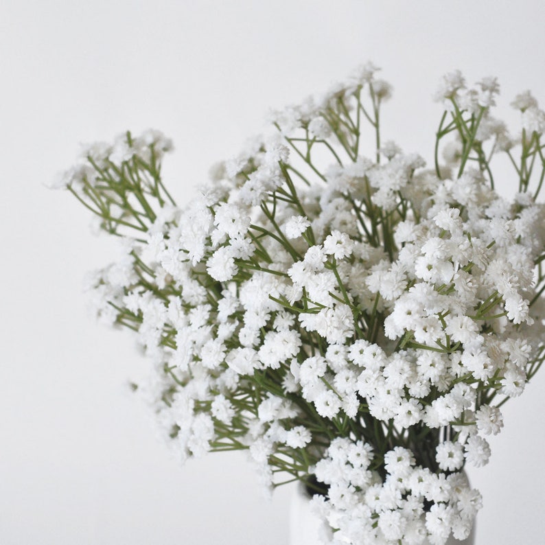 All 104+ Images How Many Stems Of Baby's Breath To Fill A Mason Jar Updated