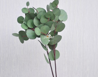 1 Tallo Real Touch Hoja De Eucalipto Artificial Falso Eucaliptos Dólar Plata Eucalipto Ramo de Boda Mueble Central Decoración del Hogar Boutonnières