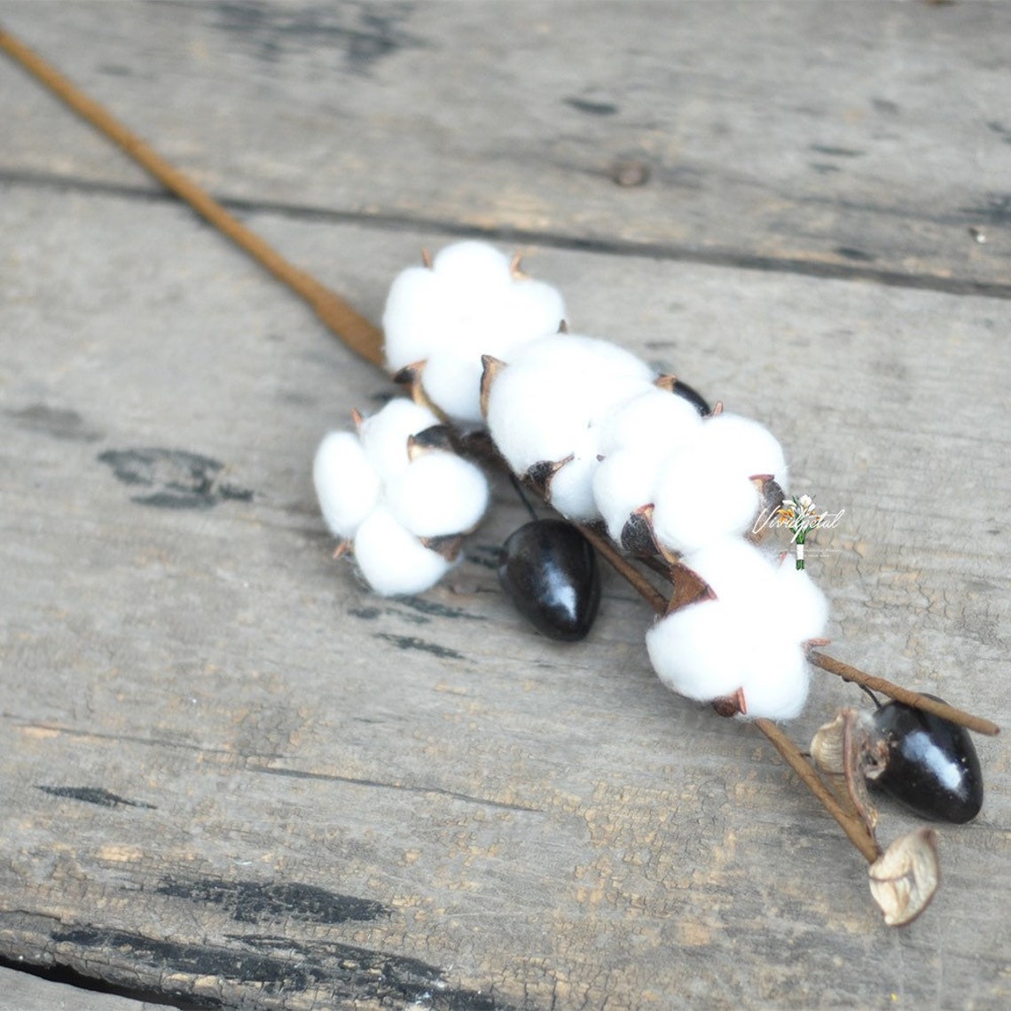 Dried Cotton Branch 17 Long 8 Cotton Balls Branches Etsy