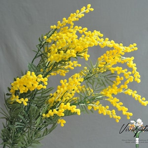 1 stem plastic yellow mimosa Golden Wattle Artificial Acacia Mimosa faux baby breath filler silk wedding bouquet