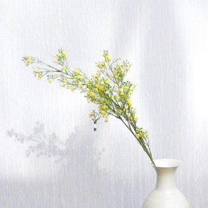 6 Tiges Vraie Touche Blanche Gypsophila Bebe Haleine Etsy