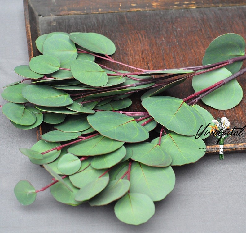 1 Stem Real Touch Leaf Artificial Eucalyptus Faux Eucalyptuses Etsy
