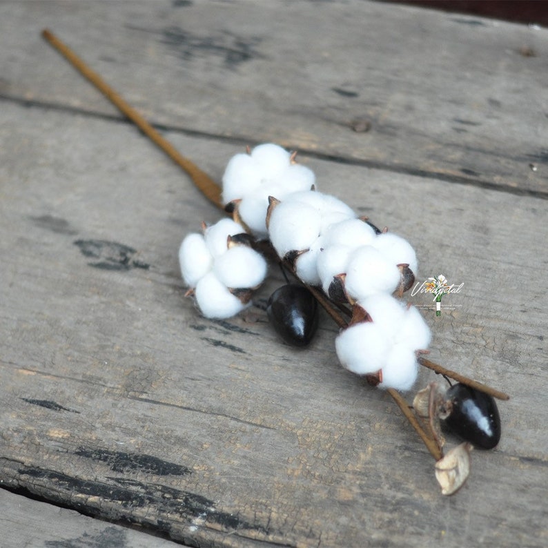 Dried Cotton Branch 17 Long 8 Cotton Balls Branches Etsy