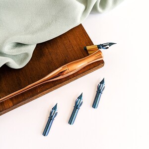 Set of 3 Brause 361 nib, Blue Pumpkin nib. Modern calligraphy nib. copperplate calligraphy nib