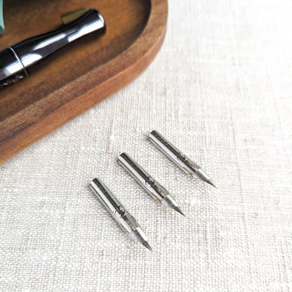 Set of 3 zebra G nibs. Modern calligraphy nib. Copperplate calligraphy nib