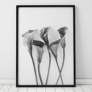 Black and White Calla Lily Print, Minimalist, Black and White Wall Art, Printables, Instant Download, Minimalist Print, Calla Lilies, Flower