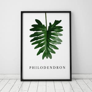 Philodendron Leaf INSTANT DOWNLOAD Illustration Art, Digital Illustration, Botany Print, Green Leaf Printable, Green, Tropical Leaf Print