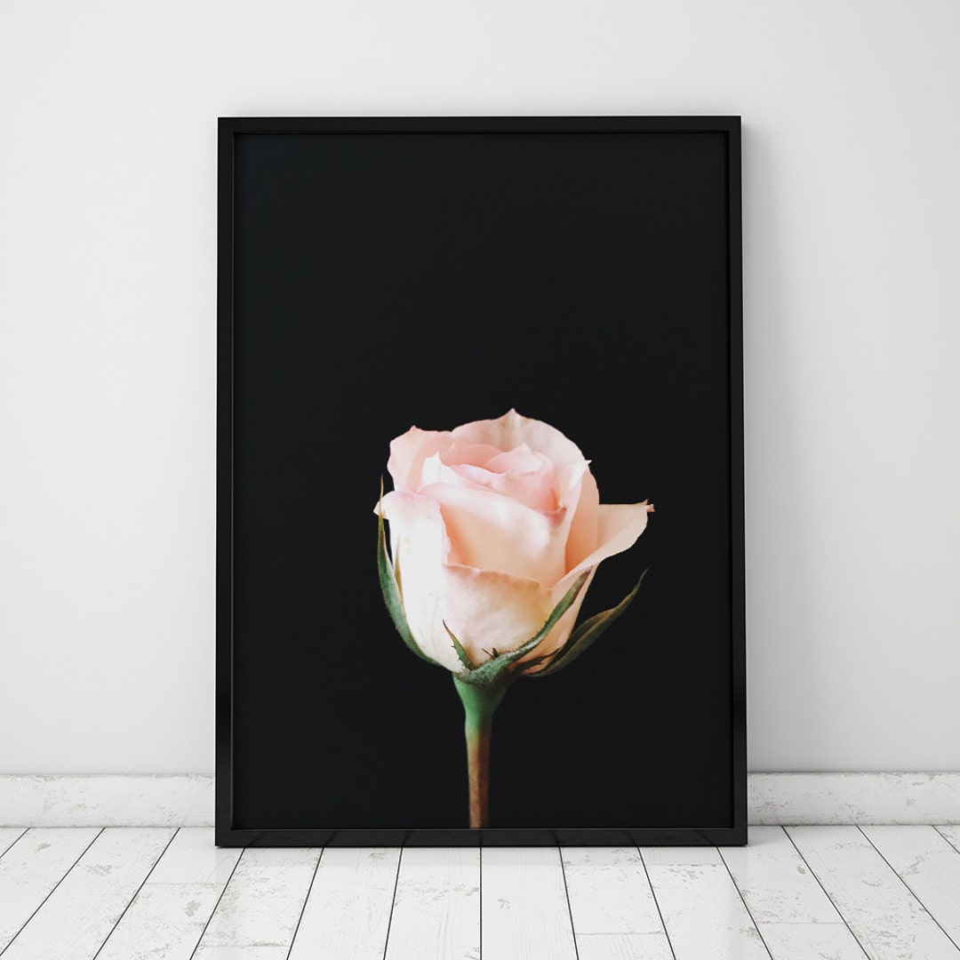 Minimalist Soft Pink Rose INSTANT DOWNLOAD Print, Minimalist, Pink Wall ...