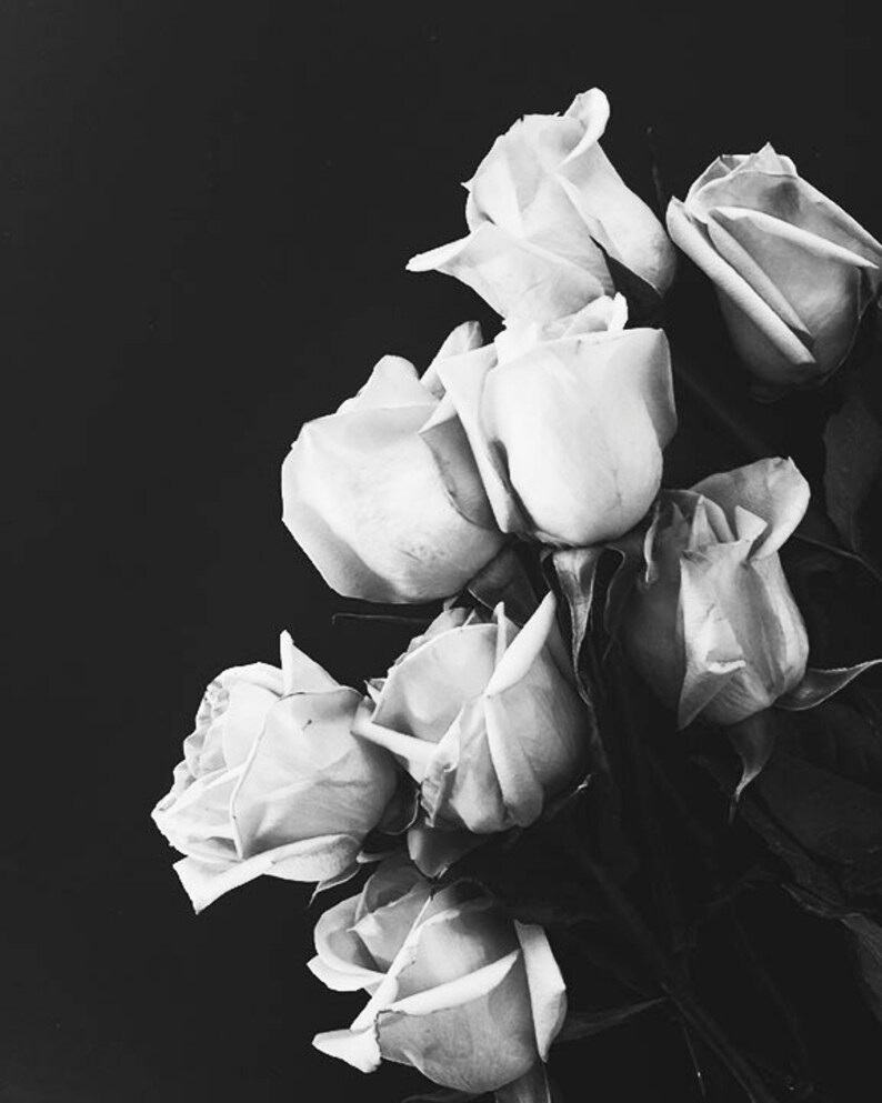Black and White Roses Print, Minimalist, Black and White Wall Art