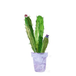 May include: A watercolor painting of a green cactus plant with pink and purple flowers in a light purple pot.
