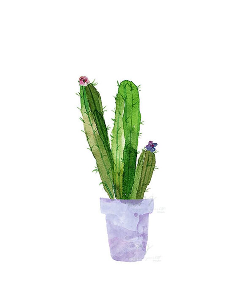 May include: A watercolor painting of a green cactus plant with pink and purple flowers in a light purple pot.