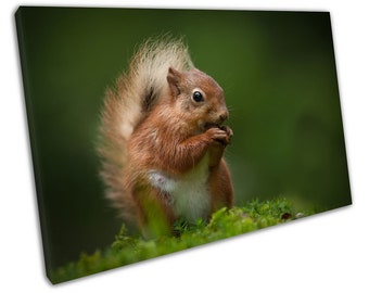 Squirrel Design PicturePhoto Frame Portrait Or Landscape 6x4 Nature Gift 343