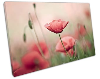 WILDFLOWER MEADOW POPPIES CANVAS WALL ART PICTURE LARGE 75 X 50 CM